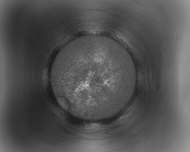 X0000088670594200706141337