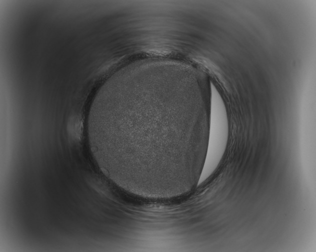 X0000088670596200706141337