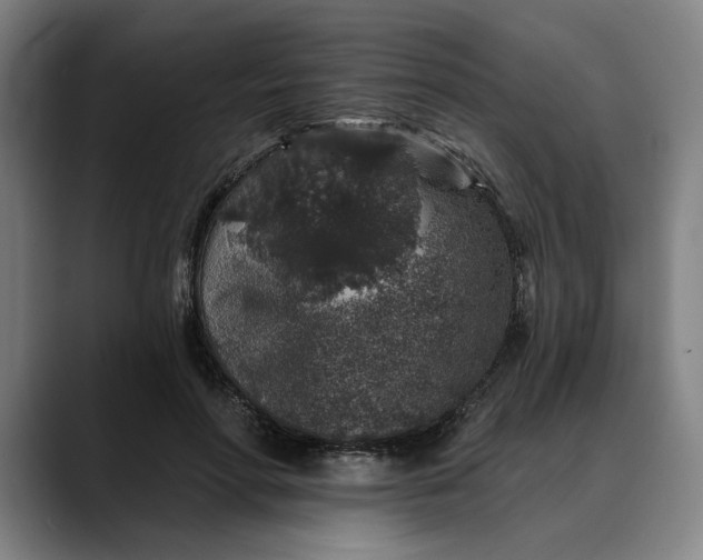 X0000088670598200706141337