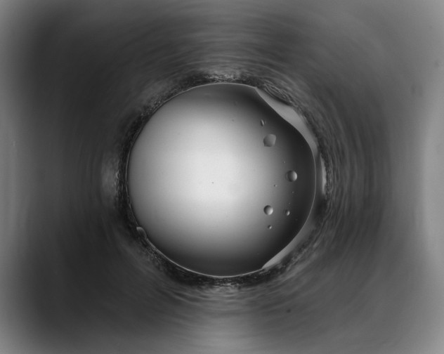 X0000088670600200706141337