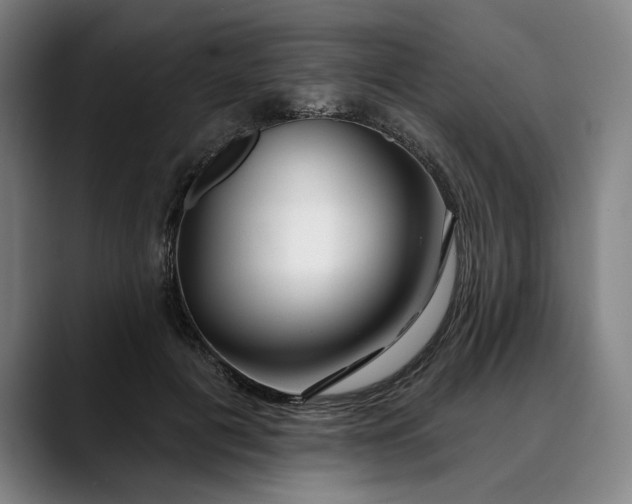 X0000088670601200706141337