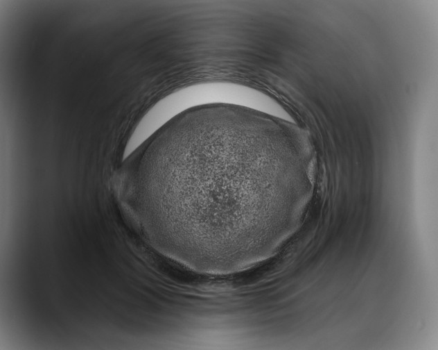 X0000088670604200706141337
