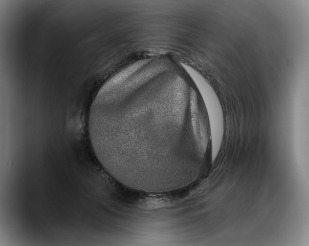 X0000088670608200706141337
