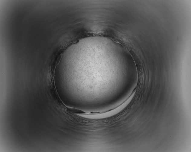 X0000088670609200706141337
