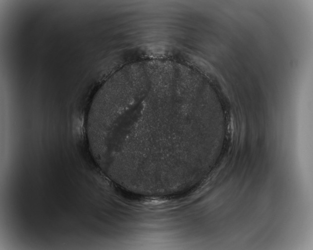 X0000088670610200706141337
