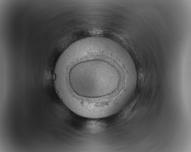 X0000088670614200706141337