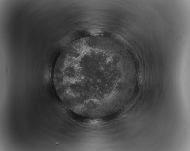 X0000088670618200706141337