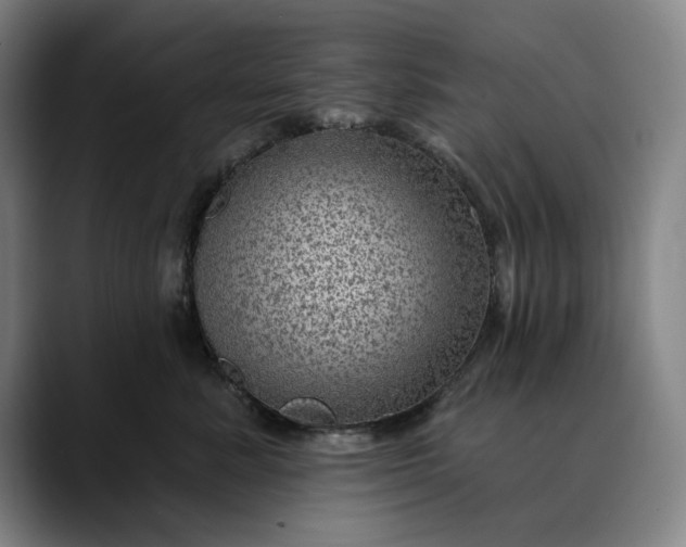 X0000088670619200706141337