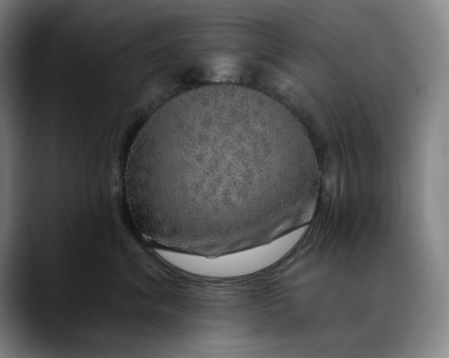 X0000088670620200706141337