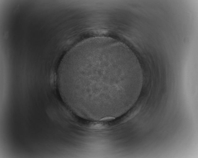 X0000088670624200706141337