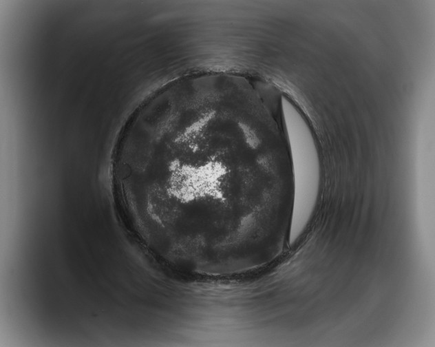 X0000088670626200706141336