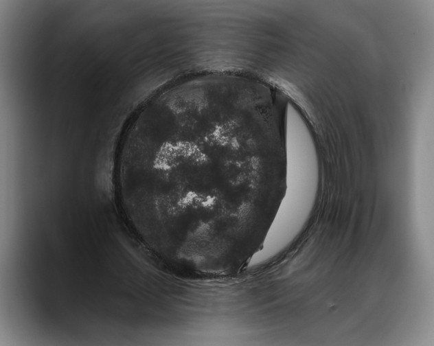 X0000088670627200706141336