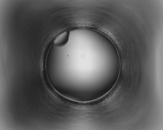 X0000088670629200706141336