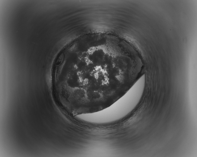 X0000088670630200706141336