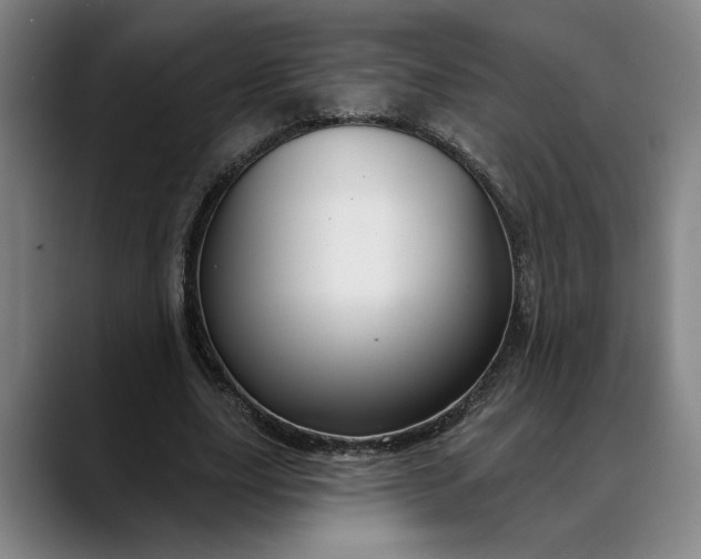 X0000088670631200706141336