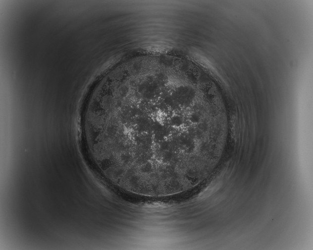 X0000088670634200706141336