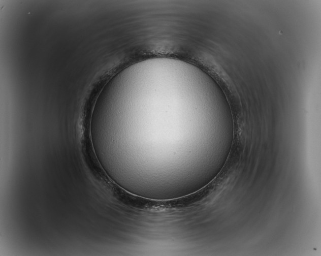 X0000088670635200706141337