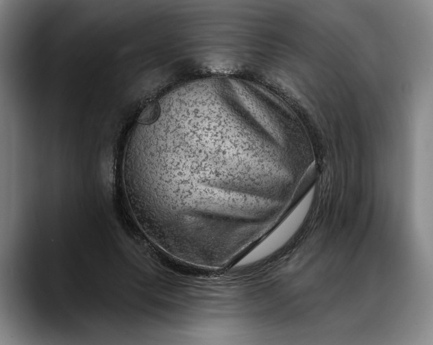 X0000088670639200706141337