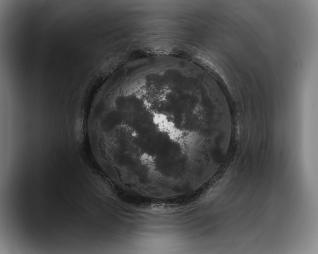 X0000088670641200706141337