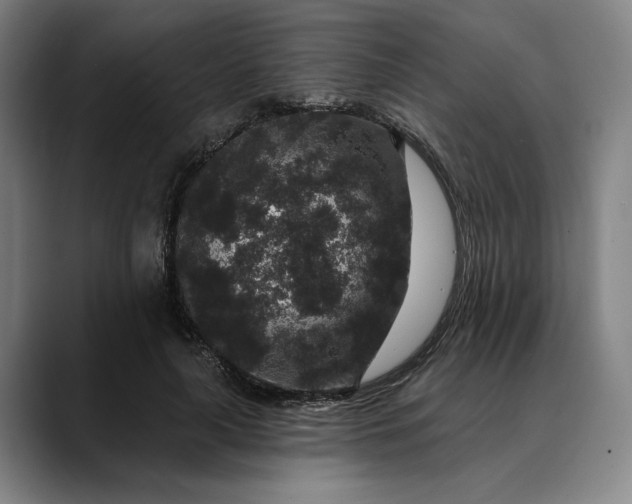 X0000088670643200706141337