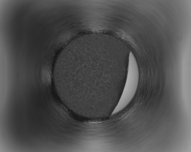 X0000088670644200706141337