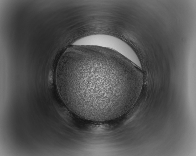 X0000088670646200706141337