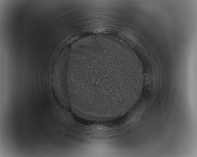 X0000088670648200706141337