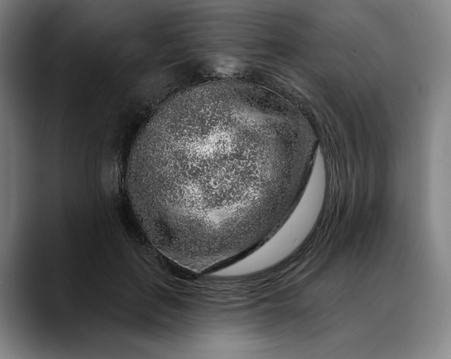 X0000088670651200706141337