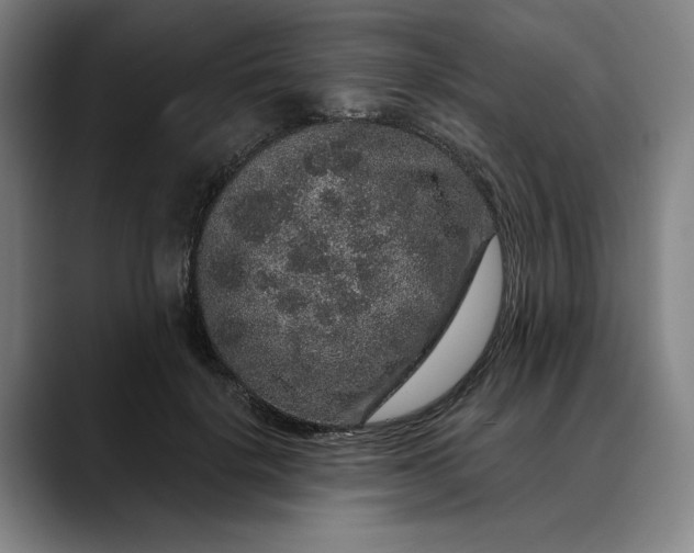 X0000088670652200706141337