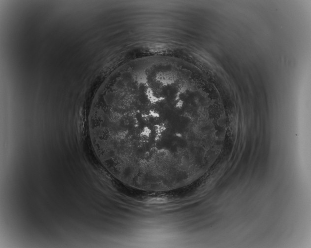 X0000088670653200706141337