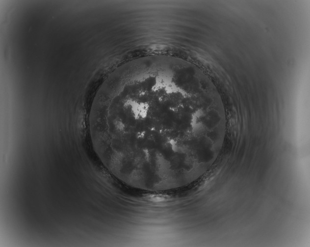 X0000088670654200706141337
