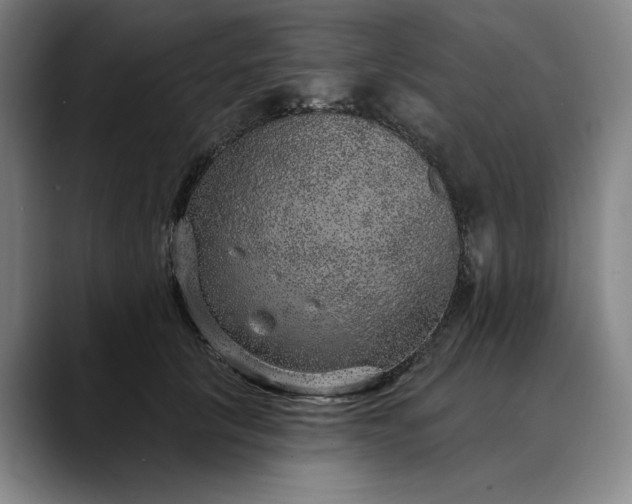 X0000088670657200706141337
