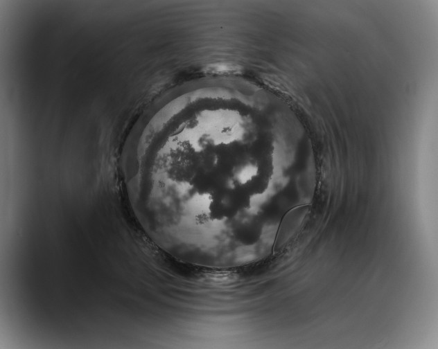 X0000088670659200706141337