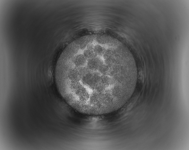 X0000088670662200706141337