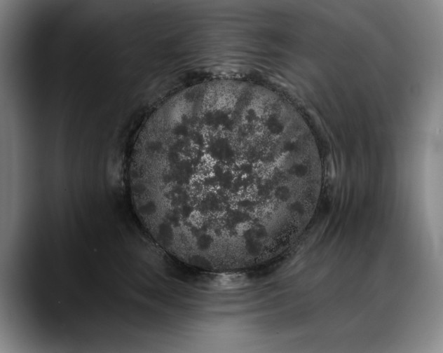 X0000088670663200706141337