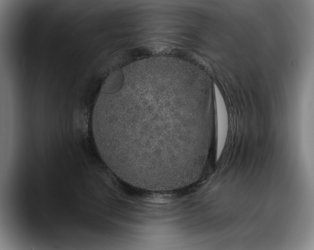X0000088670664200706141337
