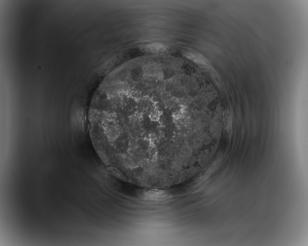 X0000088670669200706141337