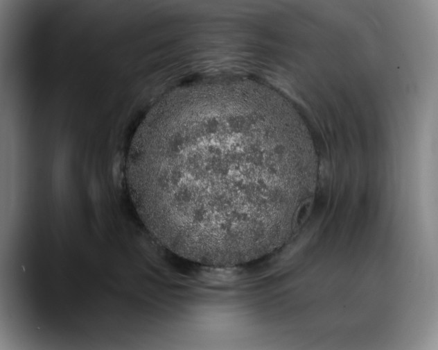 X0000088670671200706141337