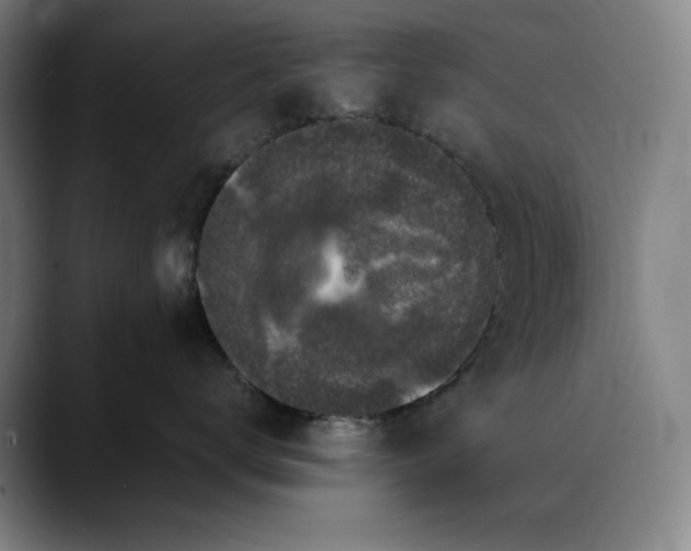 X0000088670672200706141337