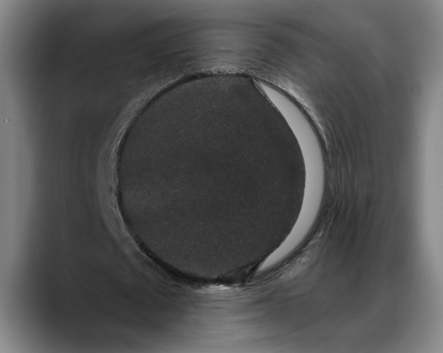 X0000088670673200706141336