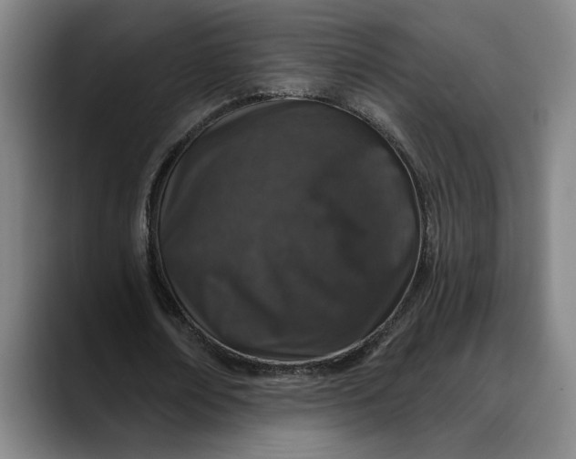X0000088670674200706141336