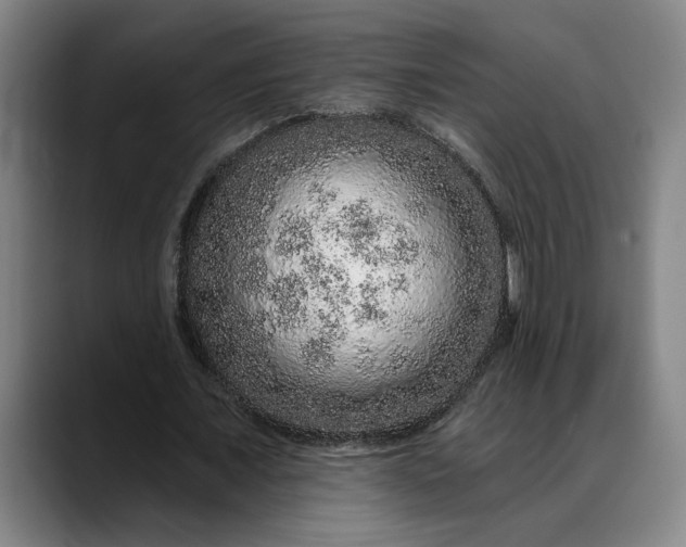 X0000088670675200706141336