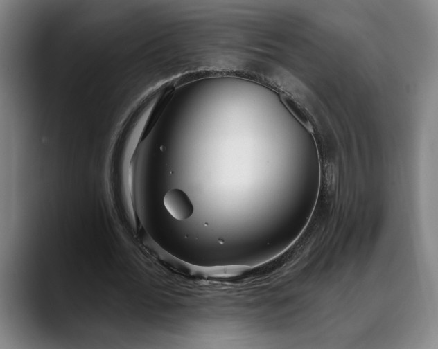 X0000088670676200706141336