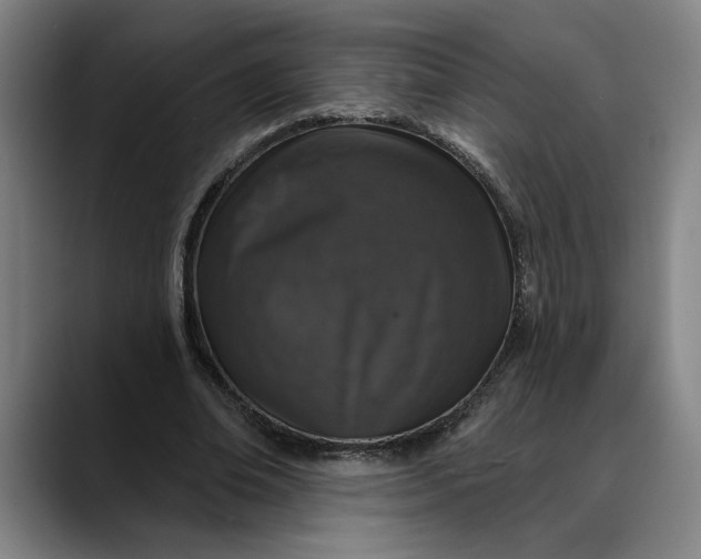X0000088670678200706141336
