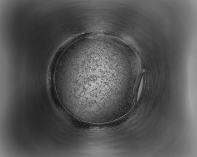 X0000088670680200706141336