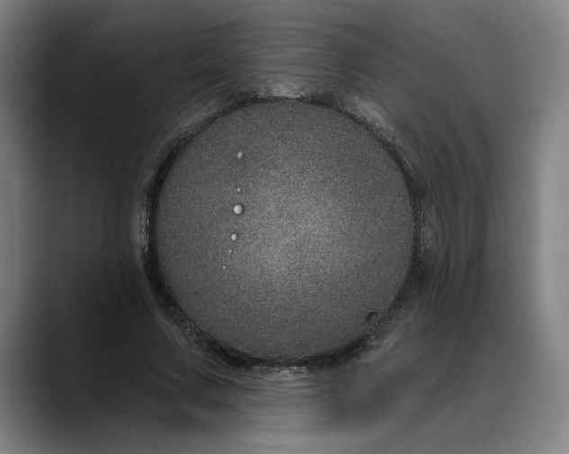 X0000088670683200706141336