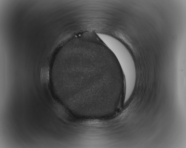 X0000088670685200706141336