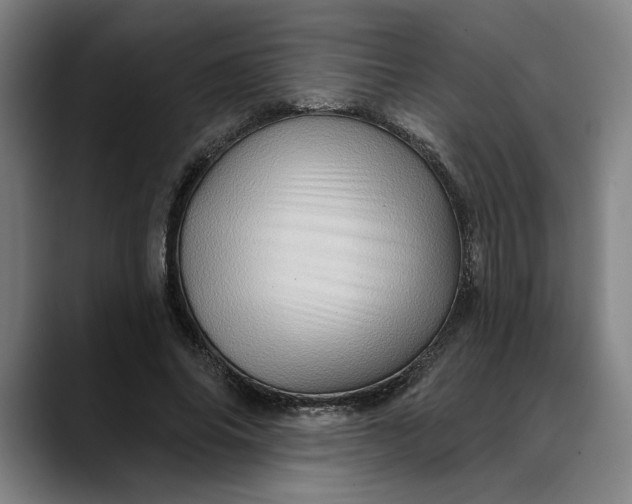 X0000088670686200706141336