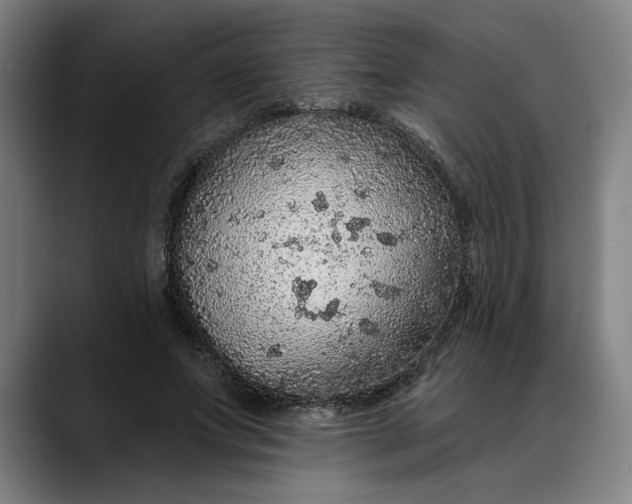 X0000088670687200706141336