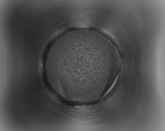 X0000088670688200706141336